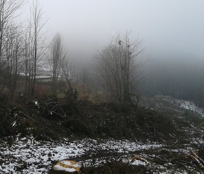 nochmal, links sieht man das Stück zum Käppchenhang, wo das Förderband hinkommen wird