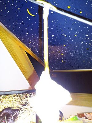 FBM Werkstatt  (6).JPG