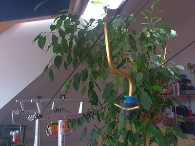 Lastengehänge (1).JPG