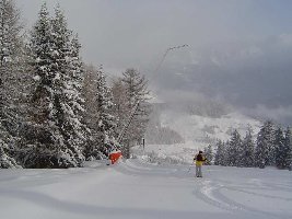 Die Wald-abfahrt, ein Traum! :P