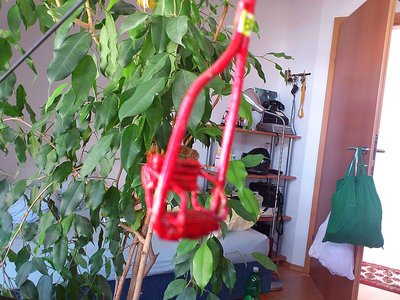 Auslieferung und Erprobung W&S Nro 6,7 und 8 am 19.07.2012 Sektion I  (27).JPG