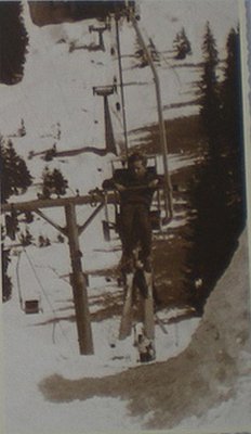 Typische Gehänge und Stützenform der Trojerlizenzanlagen von HÖLZL.