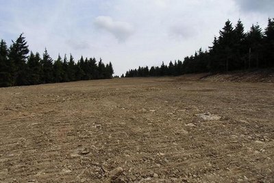 Piste im oberen Bereich sehr flach