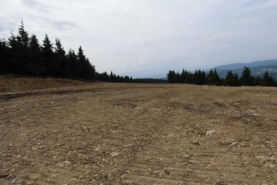 Blick talwärts, ebenso flach