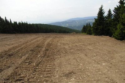 Blick talwärts, noch im flachen Bereich