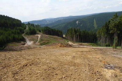 Seilbahntrasse rechts und Piste links