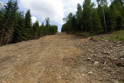 Seilbahntrasse mit Abfahrtsvariante?