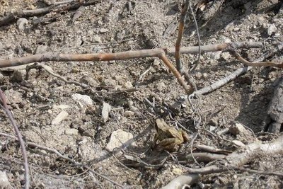 In Tschechien kein Grund für Baustopp.