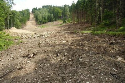 Seilbahntrasse und Piste im Talstationsbereich