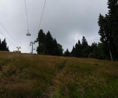 Fichtelberg, rechts oberhalb der Baumgruppe beginnt die Pistenverbreiterung