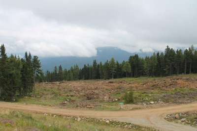 Pistenbau unterhalb des Speicherteiches