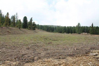 Im oberen Bereich wird schon begrünt ( ?? )