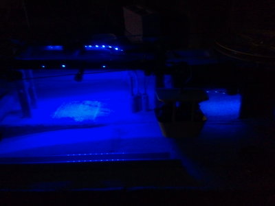 2012-08-15 20.04.07.jpg