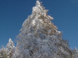 viel mehr geht nicht mehr...