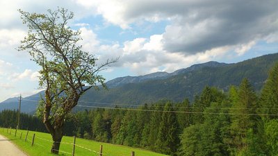 Wurbauerkogel29.08 (5).jpg