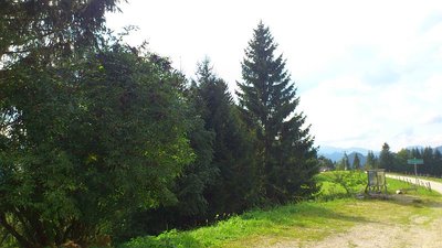 Wurbauerkogel29.08 (6).jpg