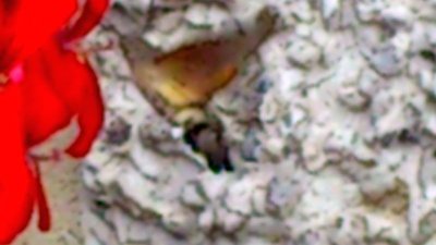 Wurbauerkogel29.08 (15).jpg