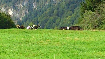 Wurbauerkogel29.08 (76).jpg