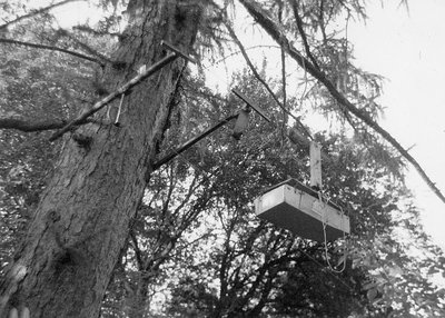 Wagen auf der Bergfahrt vor Stütze 1 +2
