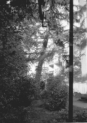 Blick von Stütze 3 Richtung Talstation