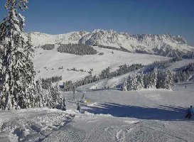Blick vom Zinsberg ri. Scheffau-Gebiet und Kaiser