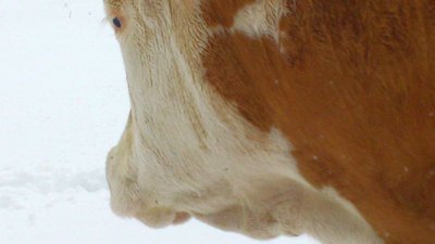 Ausflug Obertauern13.09.2012 und Sonnleitenlift (14).jpg