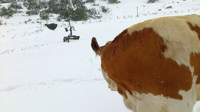 Ausflug Obertauern13.09.2012 und Sonnleitenlift (15).jpg