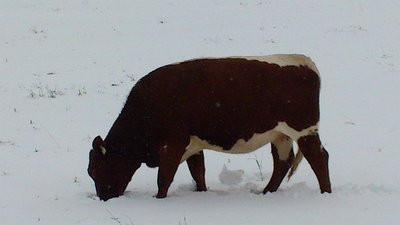 Ausflug Obertauern13.09.2012 und Sonnleitenlift (16).jpg