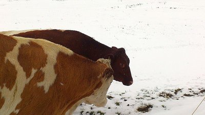 Ausflug Obertauern13.09.2012 und Sonnleitenlift (17).jpg