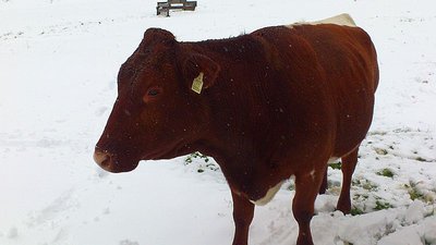 Ausflug Obertauern13.09.2012 und Sonnleitenlift (18).jpg
