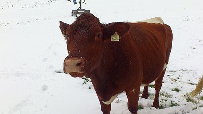 Ausflug Obertauern13.09.2012 und Sonnleitenlift (19).jpg
