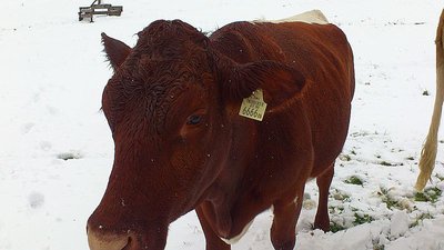 Ausflug Obertauern13.09.2012 und Sonnleitenlift (20).jpg