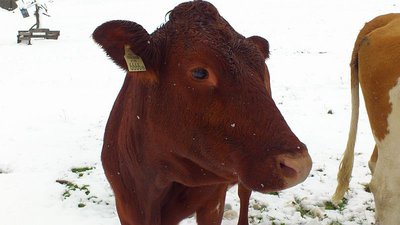 Ausflug Obertauern13.09.2012 und Sonnleitenlift (21).jpg