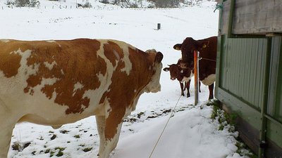 Ausflug Obertauern13.09.2012 und Sonnleitenlift (22).jpg