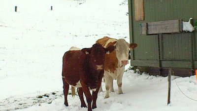 Ausflug Obertauern13.09.2012 und Sonnleitenlift (30).jpg