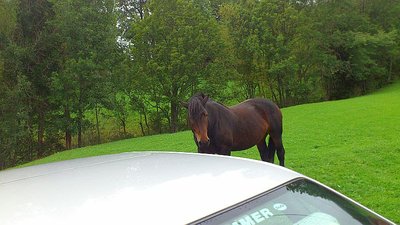 Ausflug Obertauern13.09.2012 und Sonnleitenlift (109).jpg