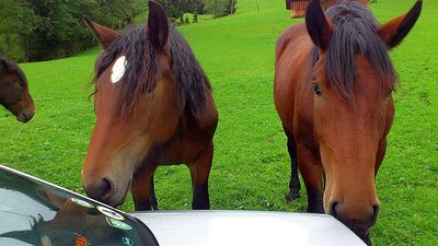 Ausflug Obertauern13.09.2012 und Sonnleitenlift (110).jpg