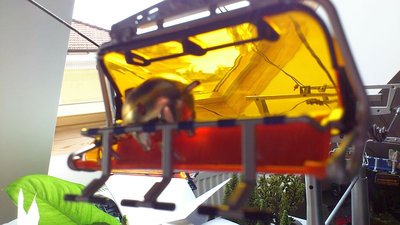 Wartung an der HBAB und wieder fröhliche Fahrgäste.. (12).jpg