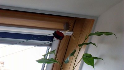 Herzsattelalmexpress (6).jpg