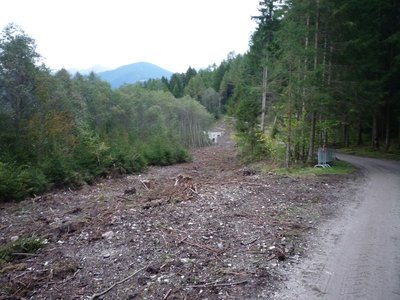 Furkelbach E-Werk, Abzweig zum Maschinenhaus