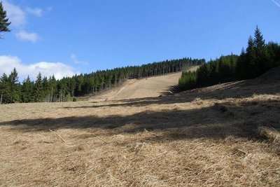 Blick zurück mit dem 1. Steilstück im Hintergrund