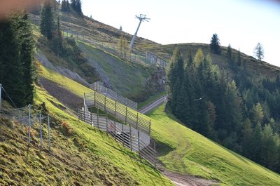 Waldeabfahrt direkt mit Tunnel