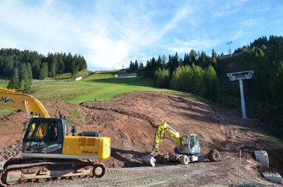 Waldeabfahrt und Strecke unten