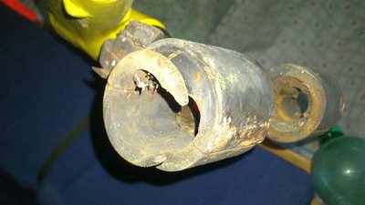 Wolf und Switzeny Nro 79 der Letzte seiner Art (10).jpg