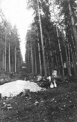 Bau und Eröffnung Hirschenkogel 1953  (8).jpg