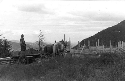 Bau und Eröffnung Hirschenkogellift1953 a.jpg