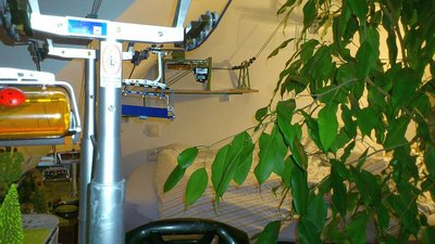 Bettalmpanorama (1).jpg