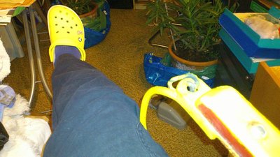 Wolf und Switzeny ex Hirschenkogel Nr79 daheim (14).jpg