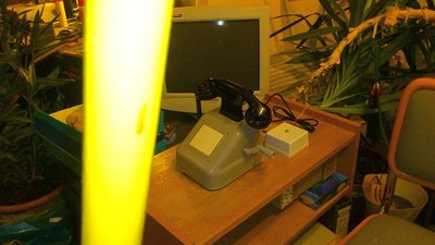 Wolf und Switzeny ex Hirschenkogel Nr79 daheim (15).jpg