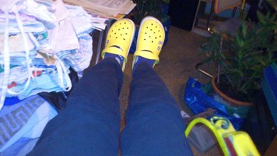 Wolf und Switzeny ex Hirschenkogel Nr79 daheim (16).jpg